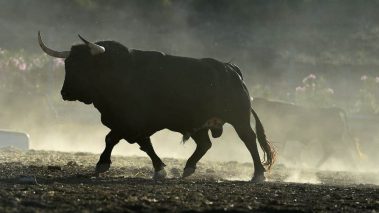 Bullish1 2 Top Canadian Growth Stocks I’m Very Bullish on Right Now