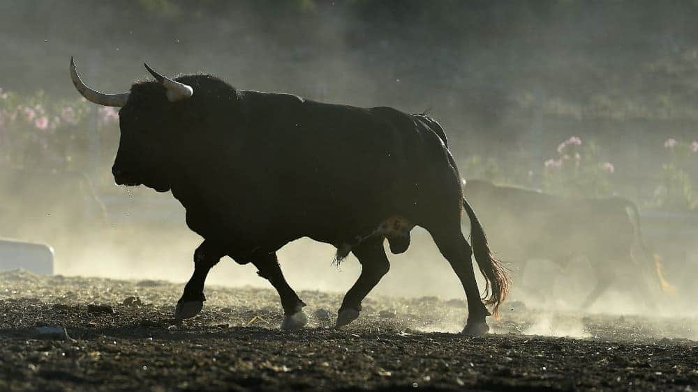 Bullish1 2 Top Canadian Growth Stocks I’m Very Bullish on Right Now