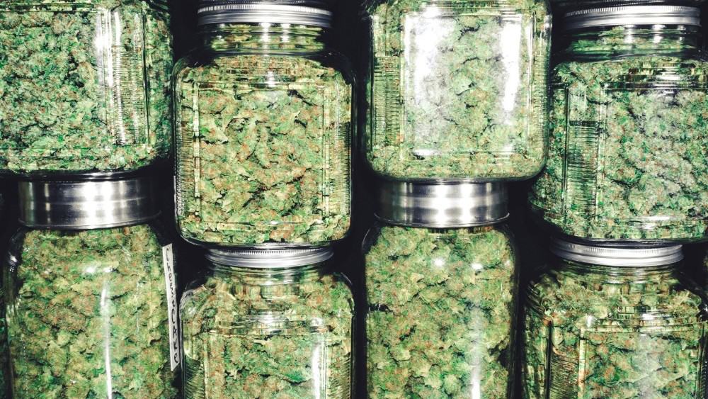 Cannabis 1 Cannabis Stock to Buy and 1 to Dump After Yesterday’s Performance
