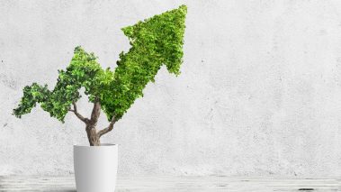 Green Arrow This Growth Stock Rallied 20% Yesterday, But it’s Still Cheap!