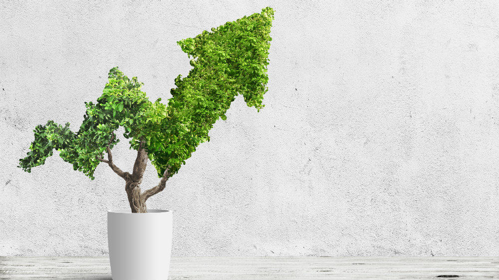 Green Arrow This Growth Stock Rallied 20% Yesterday, But it’s Still Cheap!