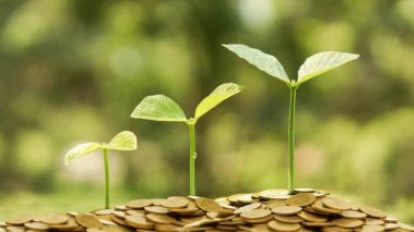 Growing plant shoots on coins 3 Growth Stocks Investors Have Completely Ignored
