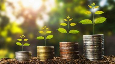 Plant shoots The 3 Best Cheap Dividend Stocks