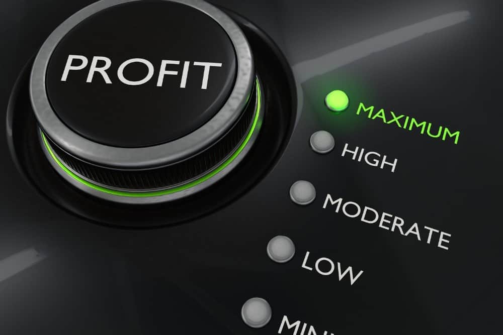 Profits 1 of the Best Buyable Canadian Stocks That Took a Hit to the Chin in 2021