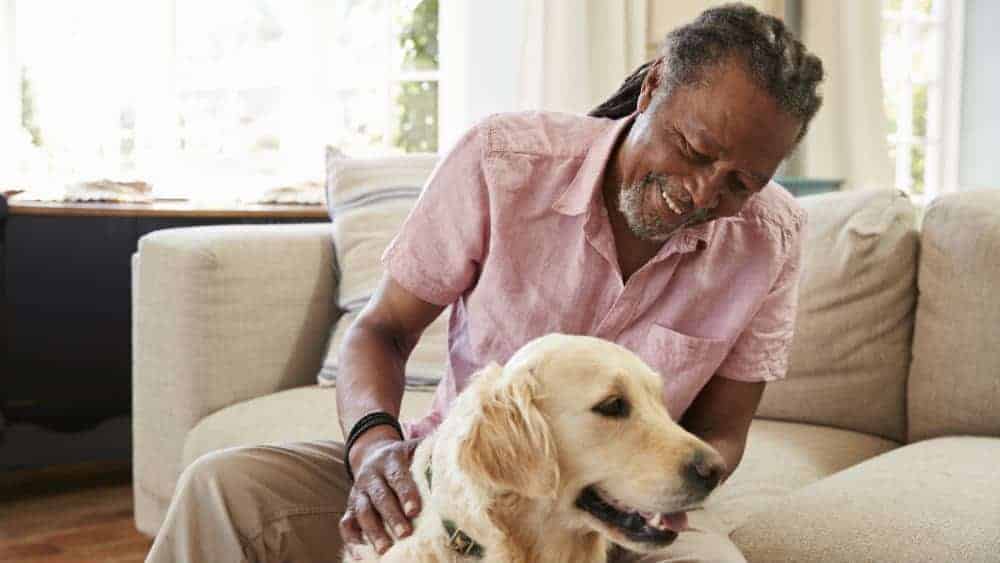 RetiredGentlemanWithDog1 TFSA Investors: 2 Cheap Dividend Stocks for Retirees to Buy Now