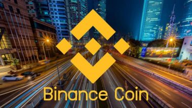 100215705 s 740x416 1 BNB outpaces Bitcoin and Ethereum with 1,300% value growth, lags behind Solana and Fantom