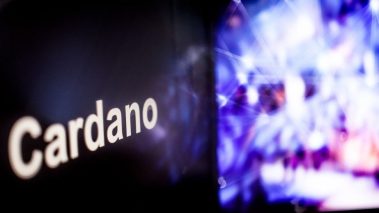 cardano coinbase pro Cardano achieves goal to plant more than 1M trees