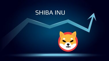 shina inu 01 scaled 1 Should you buy Shiba Inu (SHIB) on December 8 after it won the Travala.com token battle?