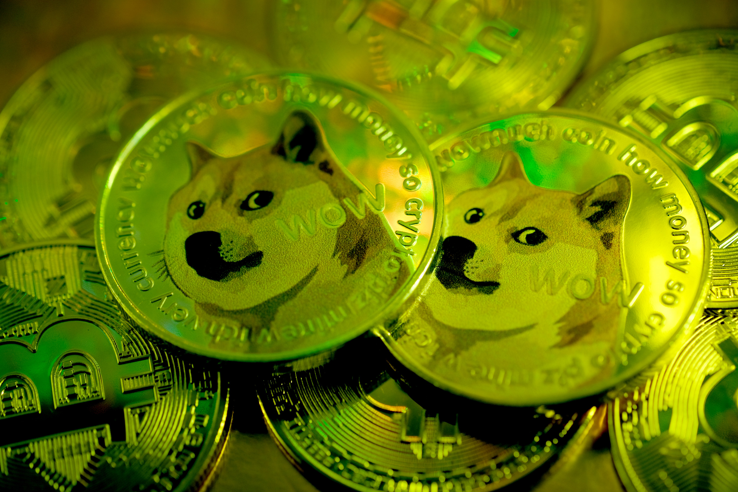 dogecoin bitcoin cryptocurrency january 2021 Is Dogecoin a pyramid scheme? What we know so far as Elon Musk faces $258B lawsuit