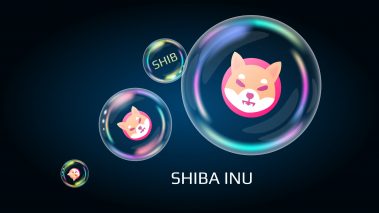 shiba inu 002 scaled 1 Bitstamp exchange lists Shiba Inu (SHIB)