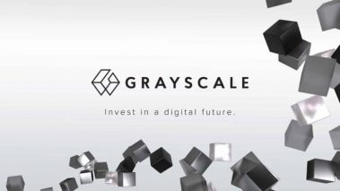 Grayscale now owns 50 of all Ethereum mined in 2020 740x416 1 Grayscale includes AVAX, LUNA & MATIC in assets under consideration