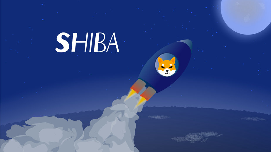 shiba inu shib continues rising despite elon musk revealing he doesnt own any shib coin Should you buy SHIB on January 6 after its recent developments?