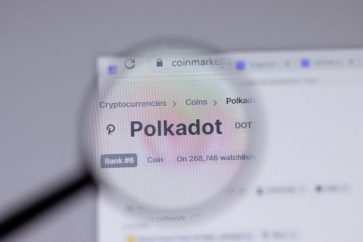daily recap polkadot e1636118718393 Acala, Manta network, partner with Polkadot parachains for $250M ecosystem fund