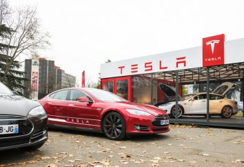 tesla musk The pullback in Tesla has more to it than Elon Musk’s stock sale