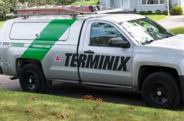 167999840 s Terminix shares jumped 30% on Tuesday morning: explained here