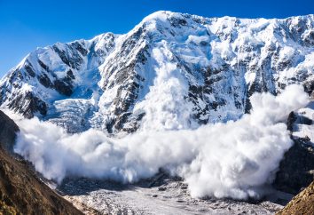 66155884 l scaled 1 Nansen’s deep dive into Avalanche: 4 key highlights