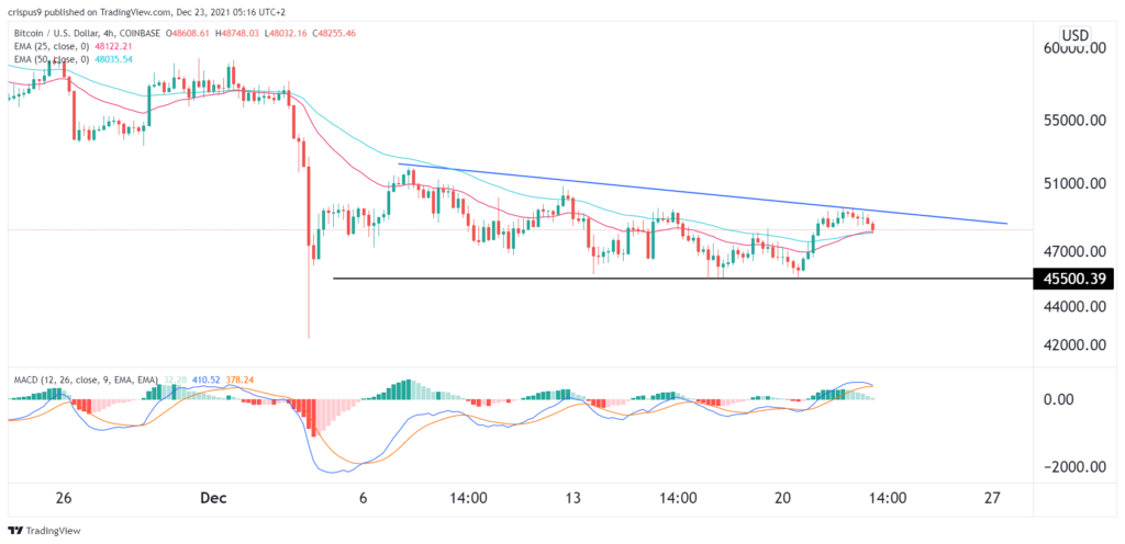 Bitcoin Price