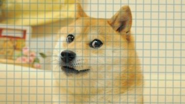 dog Fractional NFT Markets See Significant Growth in 2021 as Market Cap Surpasses $200 Million