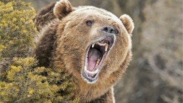 image 2021 12 14 083855 Market Analyst Says ‘Whole Crypto Sphere Is in a Bear Market’ as Prices Continue to Slide Lower