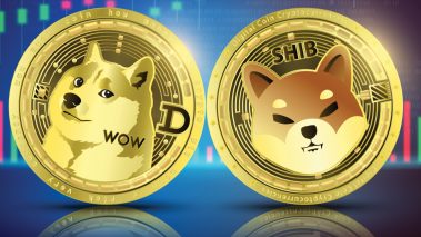 mems Meme Token Economy Climbs 14% in 2 Weeks — DOGE, SHIB Command 83% Dominance