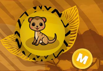 mongoose 1 Mongoose price movement: Should you buy the MONGOOSE token?