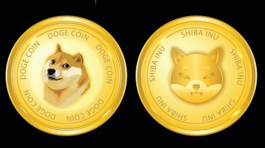 pldld DOGE and SHIB Led the Pack of Meme-Based Assets in 2021, Both Tokens Dominate 85% of the Meme-Coin Economy