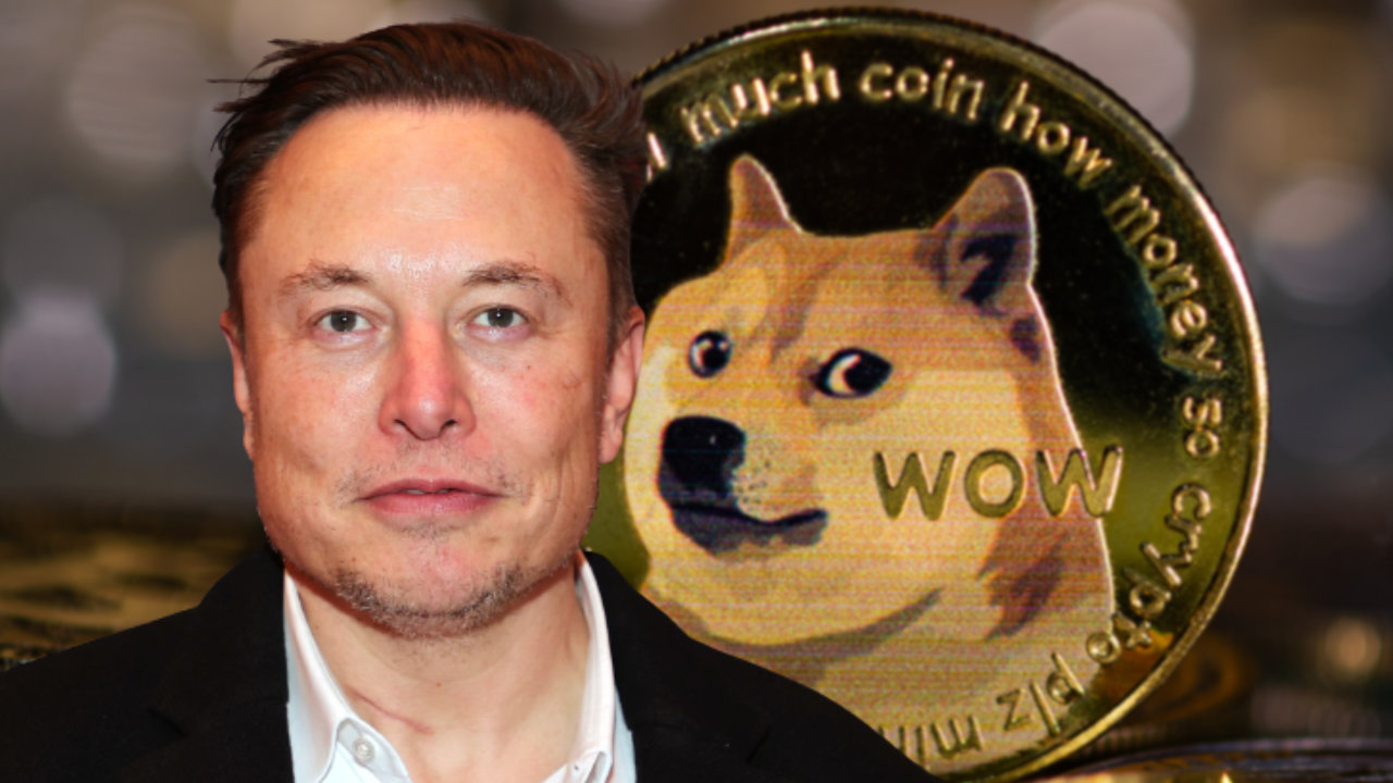 pro doge Tesla CEO Elon Musk Reveals Why He’s Pro Dogecoin Amid Debate Over Web3, Ethereum, Decentralization