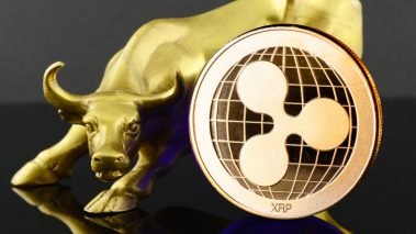 ripple Ripple Achieves ‘Strongest Year Ever’ Despite SEC Lawsuit Over XRP, Says CEO