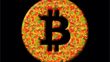 tokenized bitcoin in circulation nears a half million btc bitcoin pegged token value exceed 21 billion Tokenized Bitcoin in Circulation Nears a Half Million BTC, Bitcoin-Pegged Token Value Exceeds $21 Billion