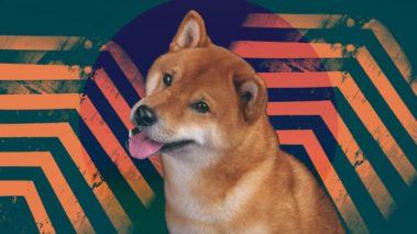 dogecoin challenge takes over tiktok as doge price skyrockets 740x416 1 The best Dogecoin alternatives you can buy on January 31, 2022