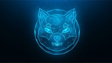 image 2022 01 01 094312 Shiba Inu Project Reveals ‘Doggy DAO,’ Devs Say Phase 1 to Provide ‘Immediate Power to the SHIB Army’