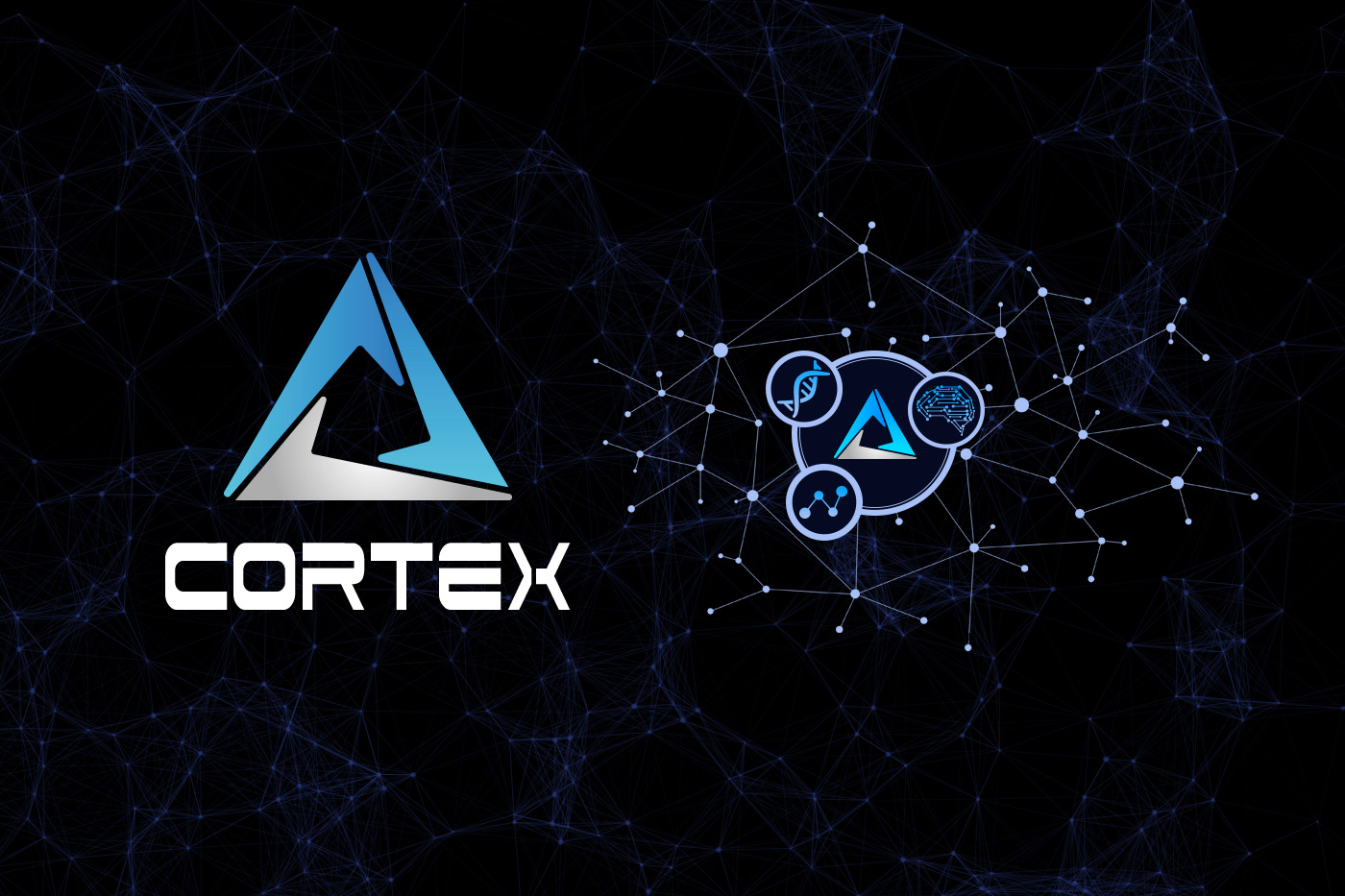is cortex ctxc buy opportunity after the current dip Is Cortex (CTXC) buy opportunity after the price collapsed?