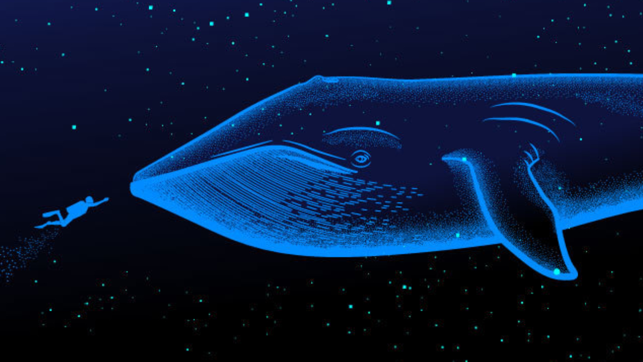 shutterstock 455668348 Whale Watch: A Deep Dive Into the Concentrations of Large Crypto Holders