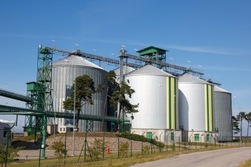 28412047 m This biodiesel producer soared 35% today: what’s fuelling the stock?