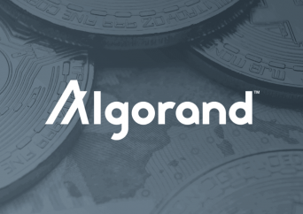 algorand crypto Algorand (ALGO) launches a $20M incentive program to boost Ethereum compatibility
