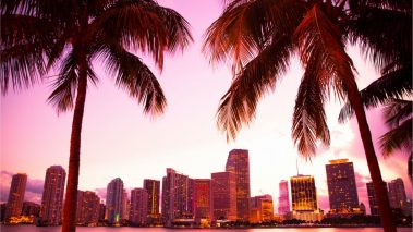 image 2022 02 10 095639 City of Miami Gets $5.25M Disbursement From Miamicoin as MIA Flounders 88% Lower Than Price High