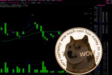 115805125 l scaled 1 The future of DOGE after the testnet launch of the Dogechain
