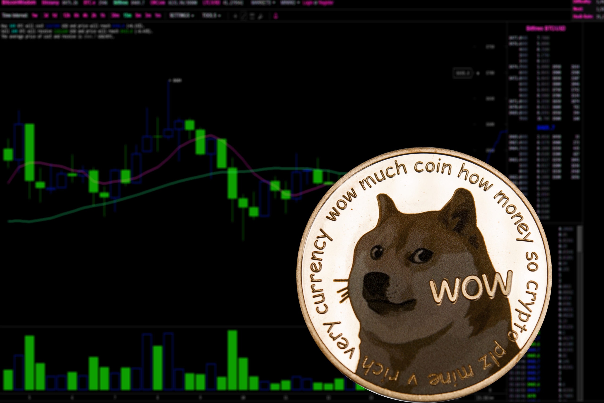 115805125 l scaled 1 The future of DOGE after the testnet launch of the Dogechain