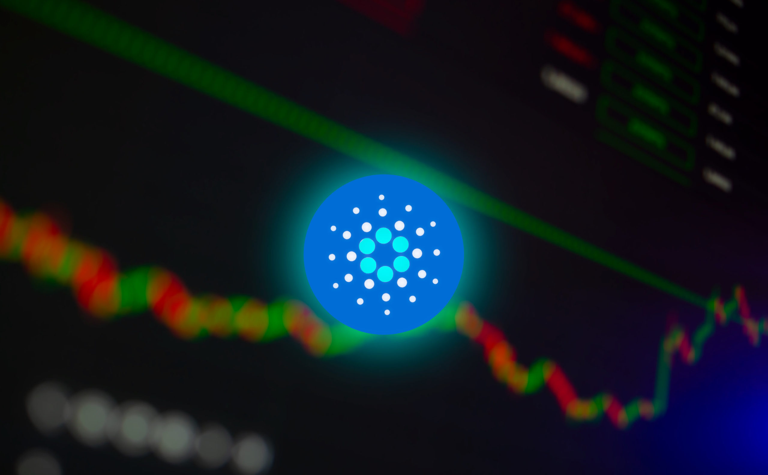 cardano 003 scaled 1