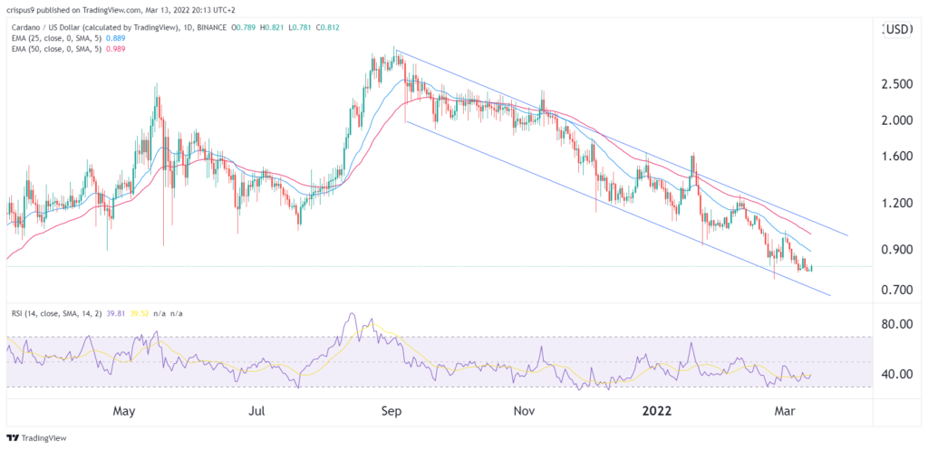 cardano price
