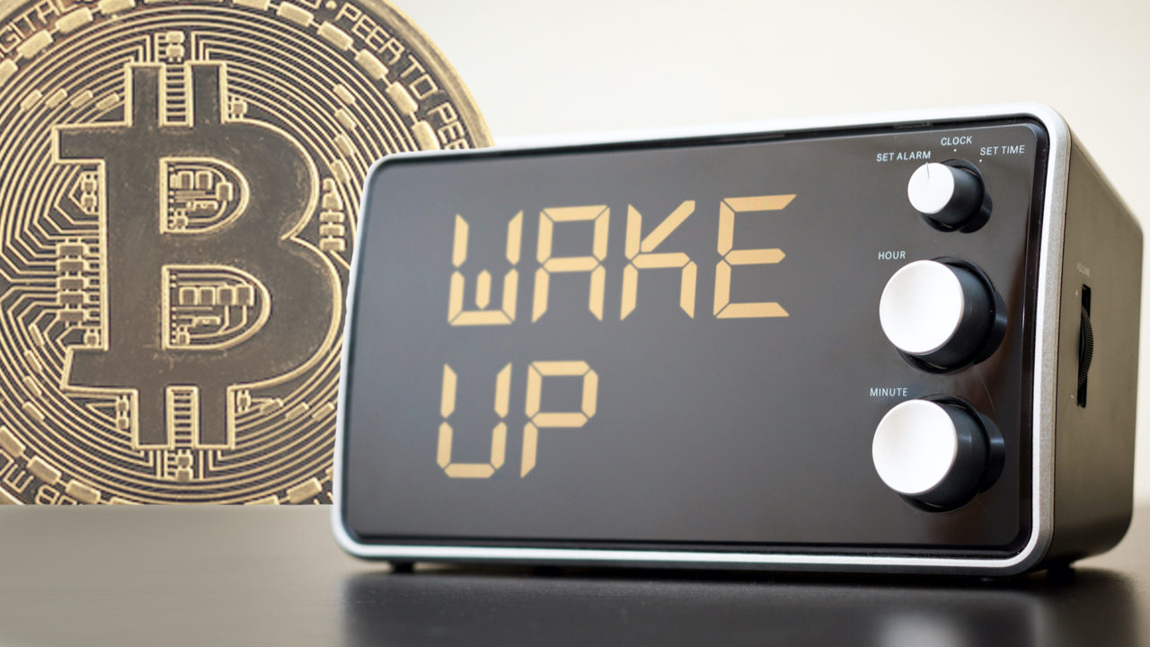 cccc34 81.79 ‘Sleeping Bitcoin’ From 2011 Worth $3.6M Moved for the First Time in Over a Decade