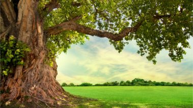 image 2022 03 29 084617 Wisdomtree Launches 3 Crypto ETPs Offering Exposure to Solana, Cardano, Polkadot