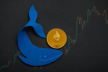 top ethereum whales accumulate newly launched apecoin ape Top Ethereum whales accumulate newly launched ApeCoin (APE)