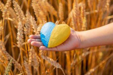 wheat The Andersons is expected to benefit from rising wheat prices. Should you invest in the stock?