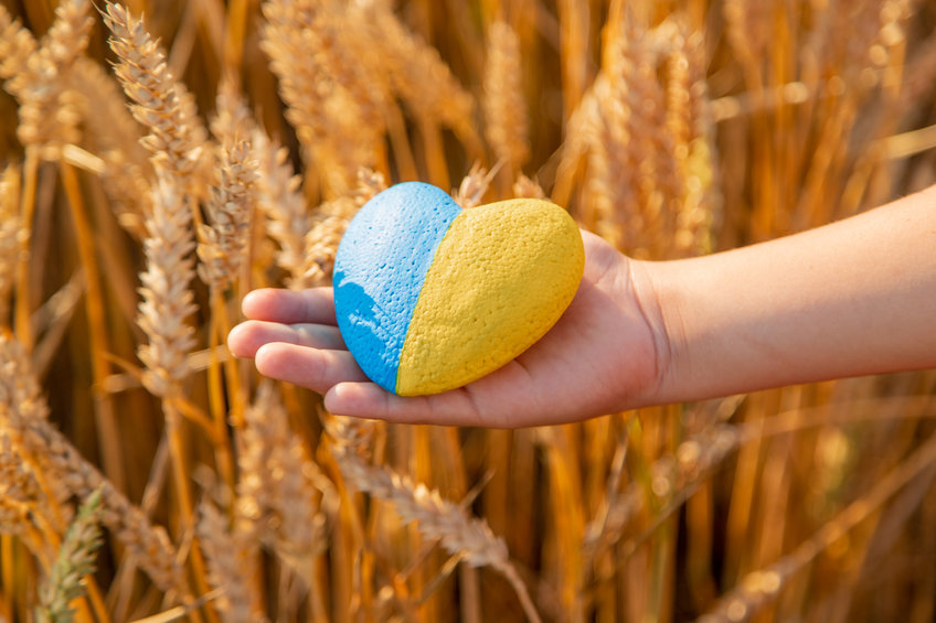 wheat The Andersons is expected to benefit from rising wheat prices. Should you invest in the stock?