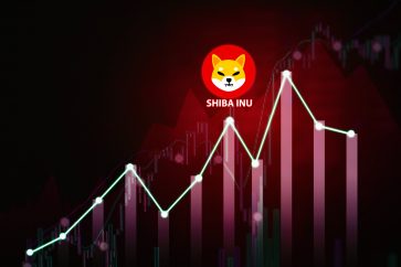178168976 m SHIB burning portal launches, how will its future value be shaped?