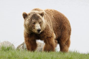 40320888 m US stocks hammered as bears push Nasdaq to 52-week low
