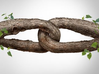 42846559 m DeFiChain to connect with BNB Chain via a decentralised bridge