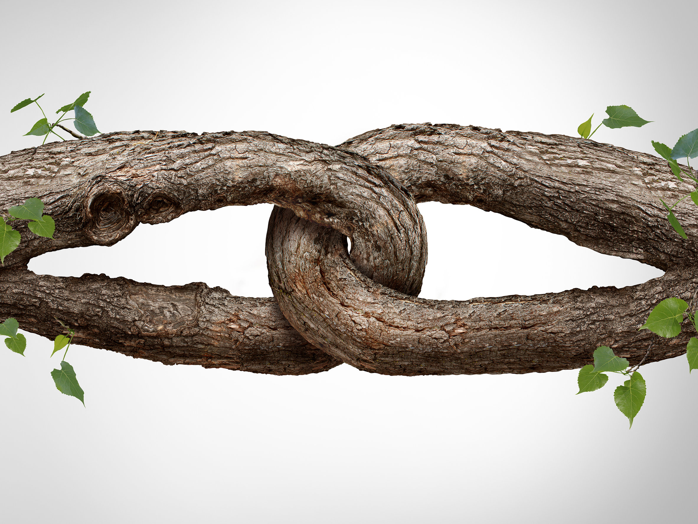 42846559 m DeFiChain to connect with BNB Chain via a decentralised bridge
