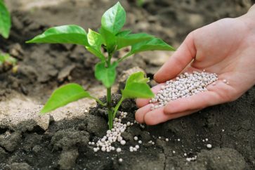 fertilizer 3 fertilizer stocks to buy as prices surge